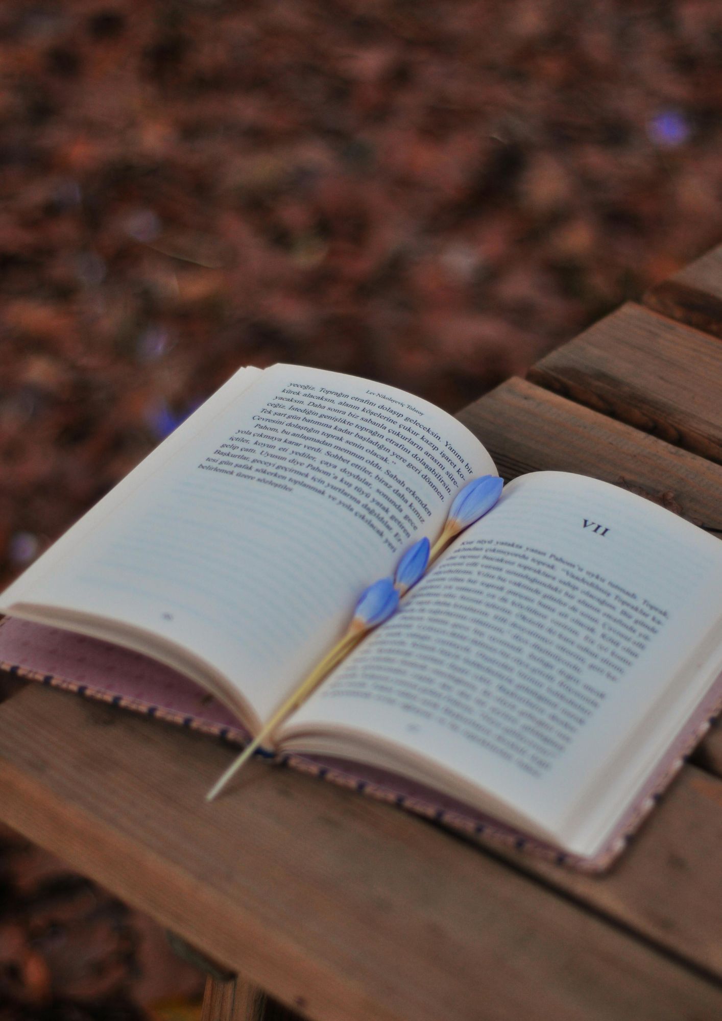 So entsteht die Biografie 1